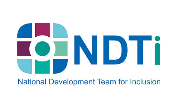 Logo for the National Development Team for Inclusion